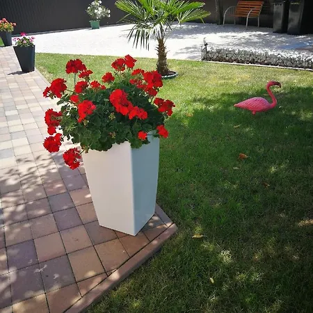 Apartmán Sol Apartman Hévíz